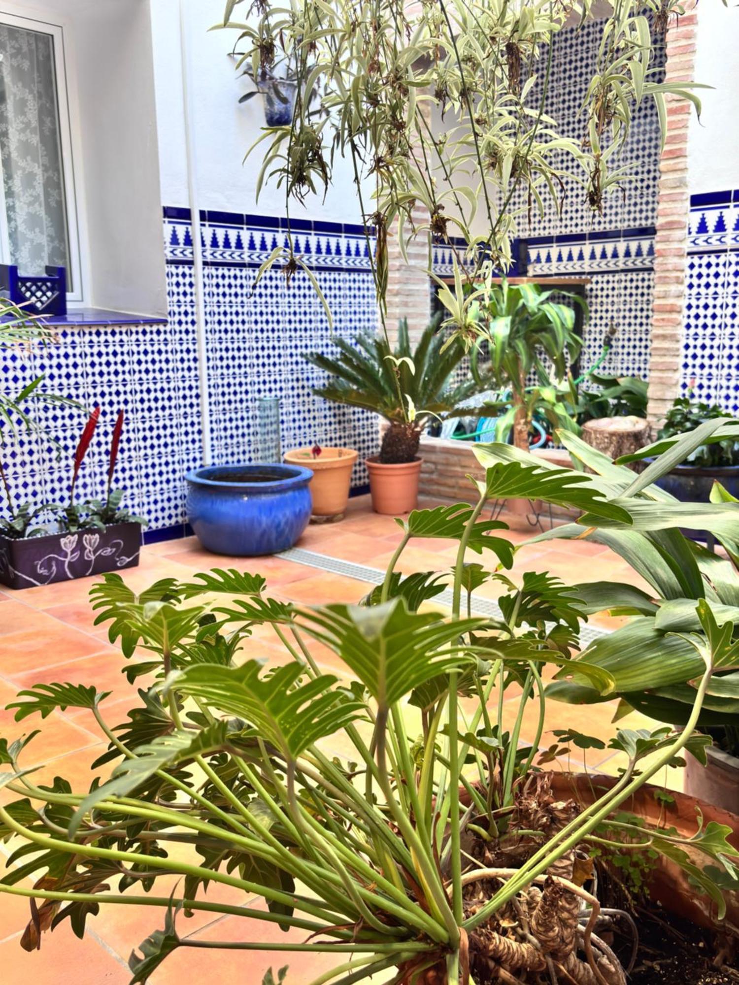 Shanti'S Andalusian Rooms Malaga Exterior photo